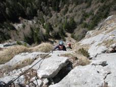 Klik za večjo sliko